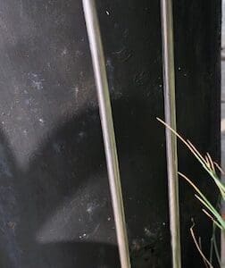 Godbit skål - Ny forbedret type